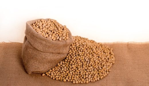 名医のTHE太鼓判!蒸し大豆が免疫力アップ＆長生きホルモンを増やす！