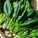 ハナタカ優越館：農家の野菜がタダで食べられる魔法の言葉とは？