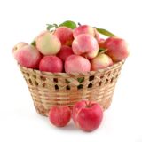 林修の今でしょ!講座：煮りんごの作り方！血管のためによいりんごの食べるタイミング＆りんごの保存方法