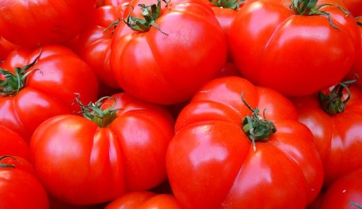 林修の今でしょ!講座：エスクレオサイドＡとは？効率よく摂取するトマトそうめんレシピ