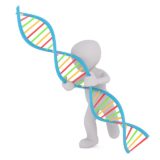 NHKスペシャル！人体II遺伝子：あなたの中の宝物“トレジャーDNA